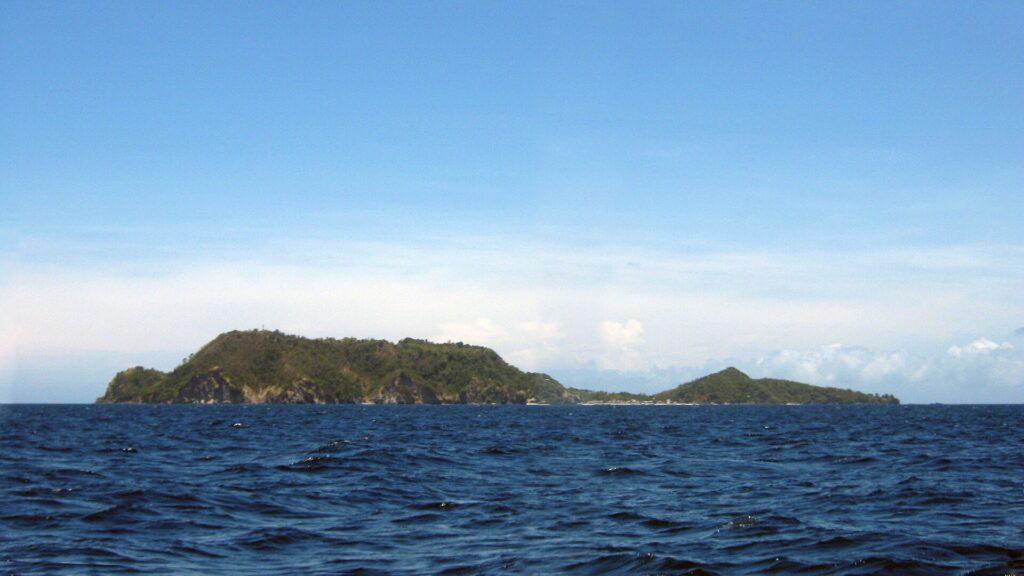 Apo Island seen from the sea, a small green volcanic island off southern Negros