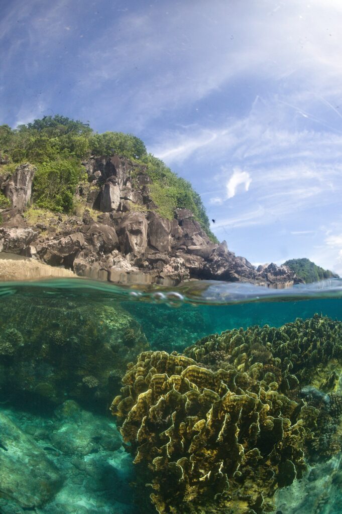 Half underwater, half above: corals right next to Apo Island's rocky shore