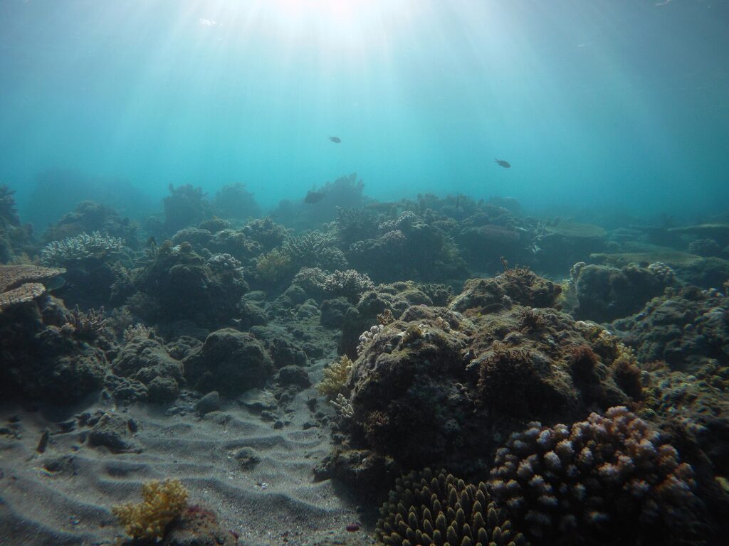 Sunlight over a shallow coral reef at Apo Island