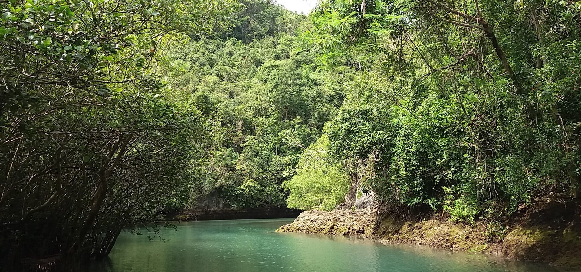The emerald-green Bojo River in Aloguinsan, lined with mangroves and forested limestone cliffs