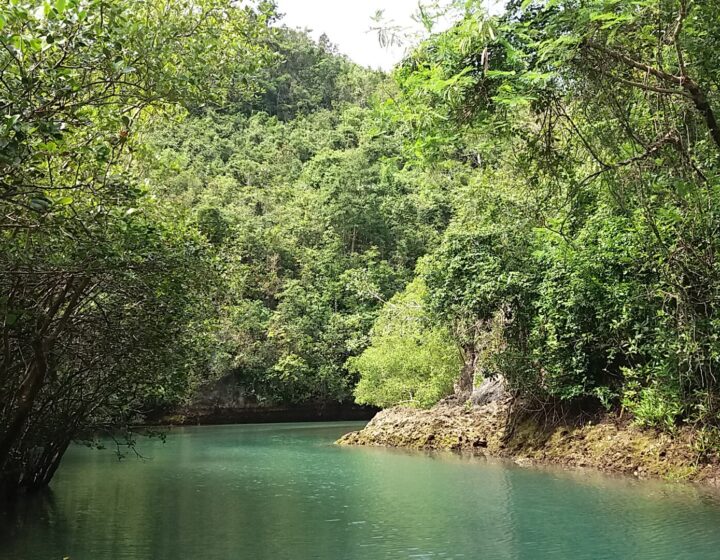 The emerald-green Bojo River in Aloguinsan, lined with mangroves and forested limestone cliffs