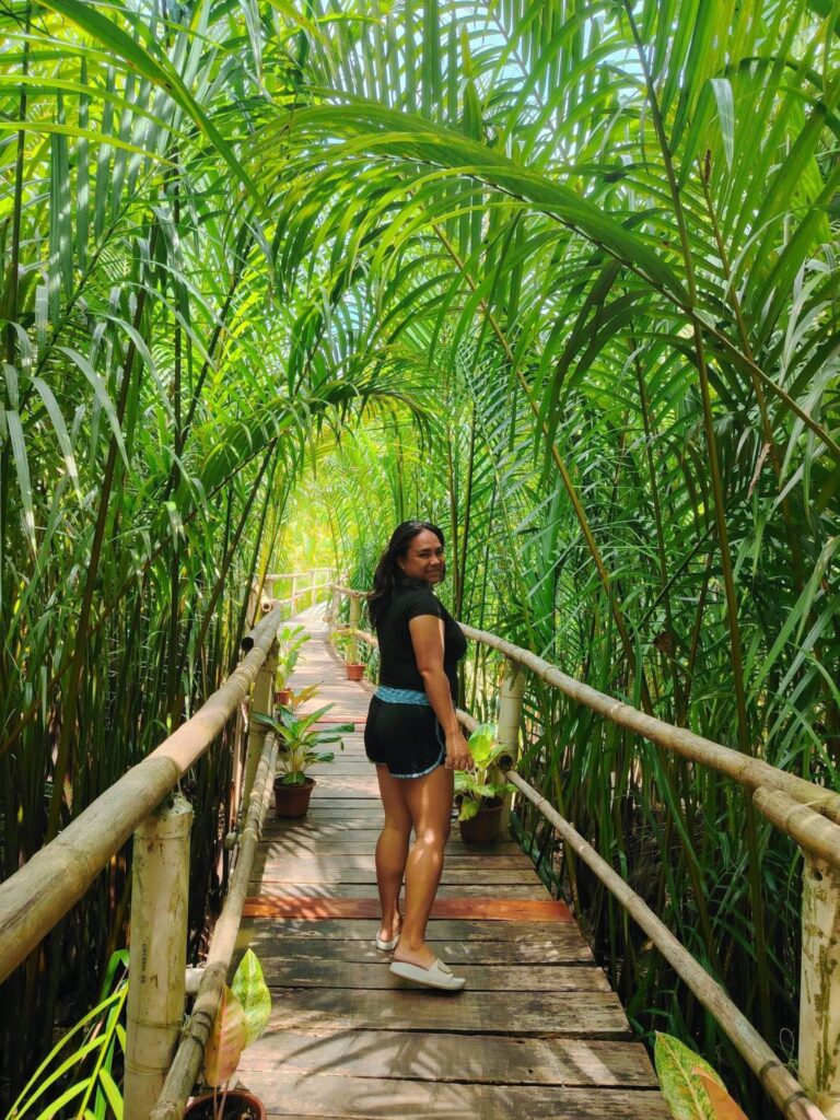 A bamboo boardwalk through a tunnel of nipa palms