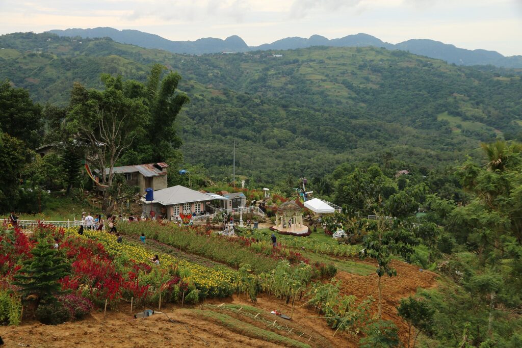 Flower farms and green mountains in Cebu City's uplands