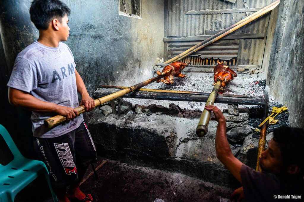 Whole pigs slow-roasting over coals for Carcar lechon