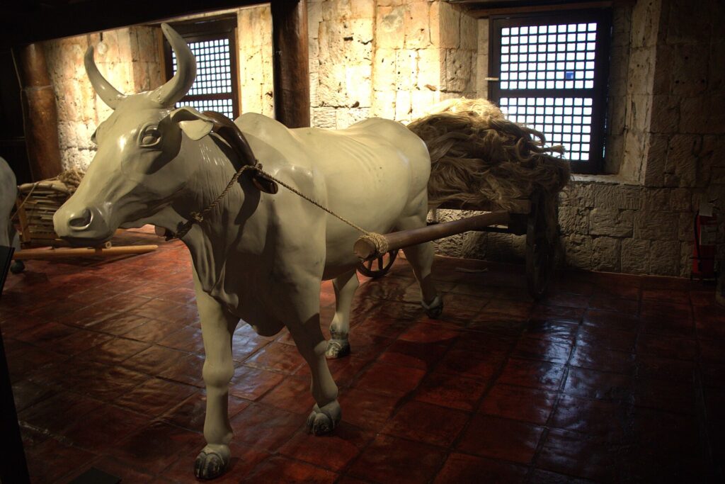 A carabao cart display on the stone ground floor