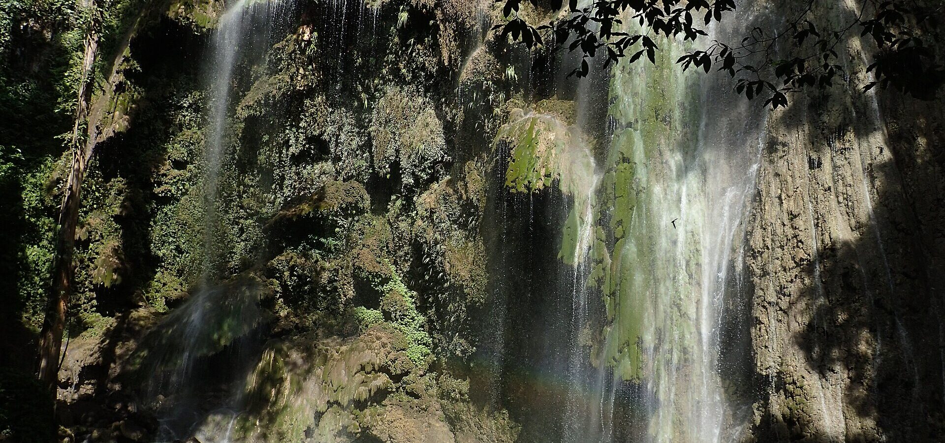 Tumalog Falls in Oslob, its fine streams pouring down a mossy cliff into a turquoise pool, with swimmers below