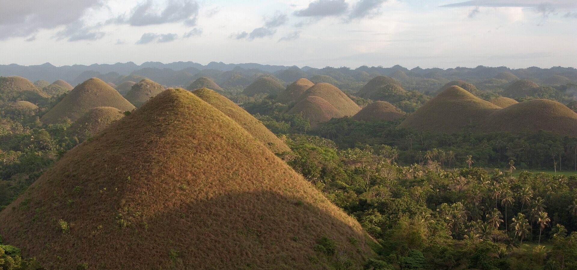 Brown, cone-shaped Chocolate Hills in warm late-afternoon light, rolling to the horizon above palm forest, Carmen, Bohol
