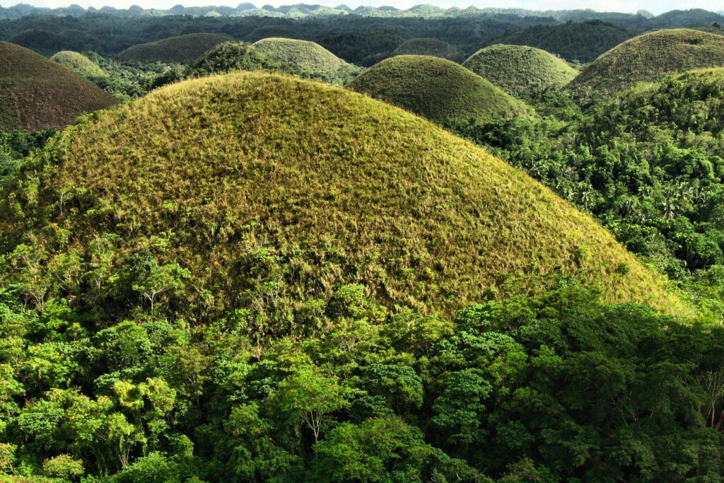 Close view of a grass-covered hill turning golden brown in the dry season