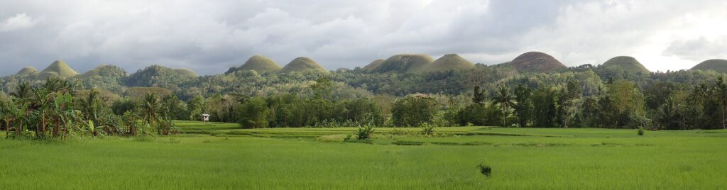 Green rice fields below the hills between Sagbayan and Carmen