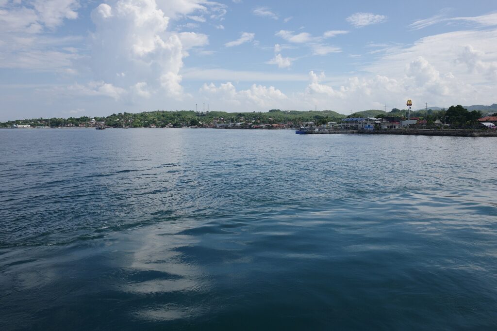 Danao City's coastline seen from the sea