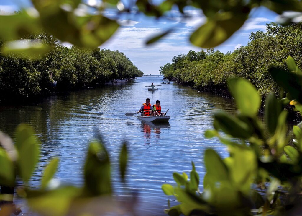 Kayakers on a channel through Tawsan mangrove forest