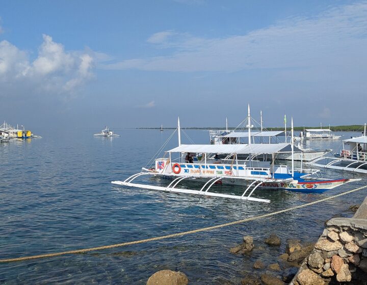 Outrigger tour boats (bangkas) moored at Cordova port, the main departure point for the Hilutungan sanctuary, under a blue sky. Shows the departure port, not the island itself