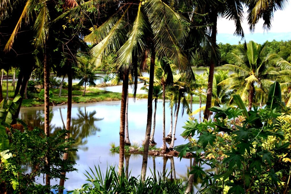 A palm-lined fish pond in Badian