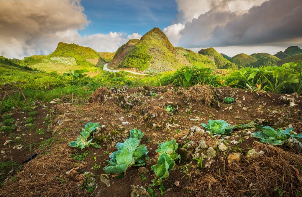 Sunrise over the green hills of the Badian Highlands