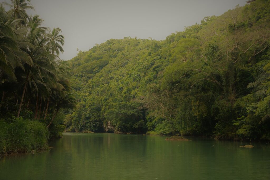 The calm green Loboc River between forested banks