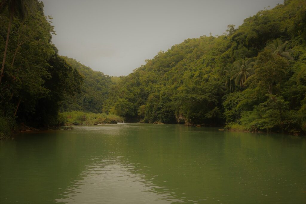 A small waterfall tumbling into the Loboc River