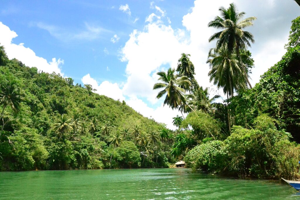 Loboc River in the morning light