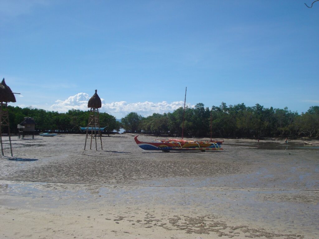 Low tide on the shore beside the shrine, with outrigger boats