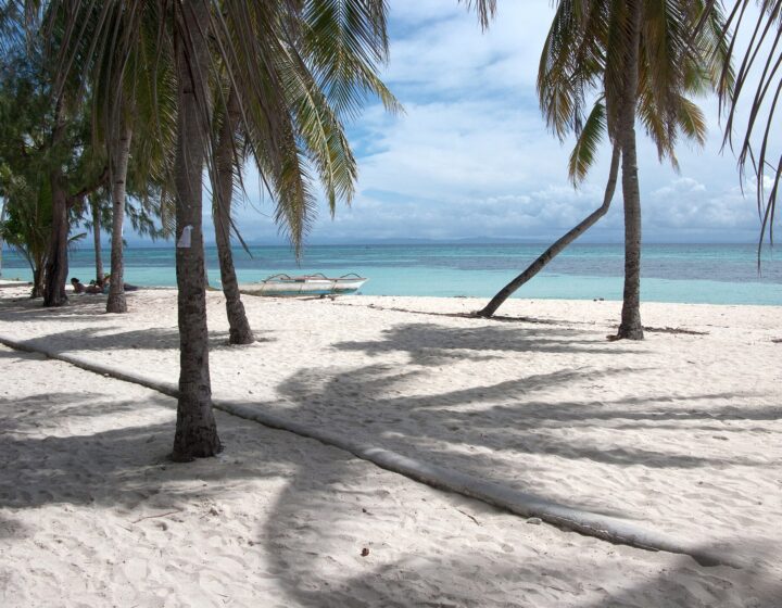 Palm trees on the white sand of Bounty Beach on Malapascua Island, with turquoise water behind