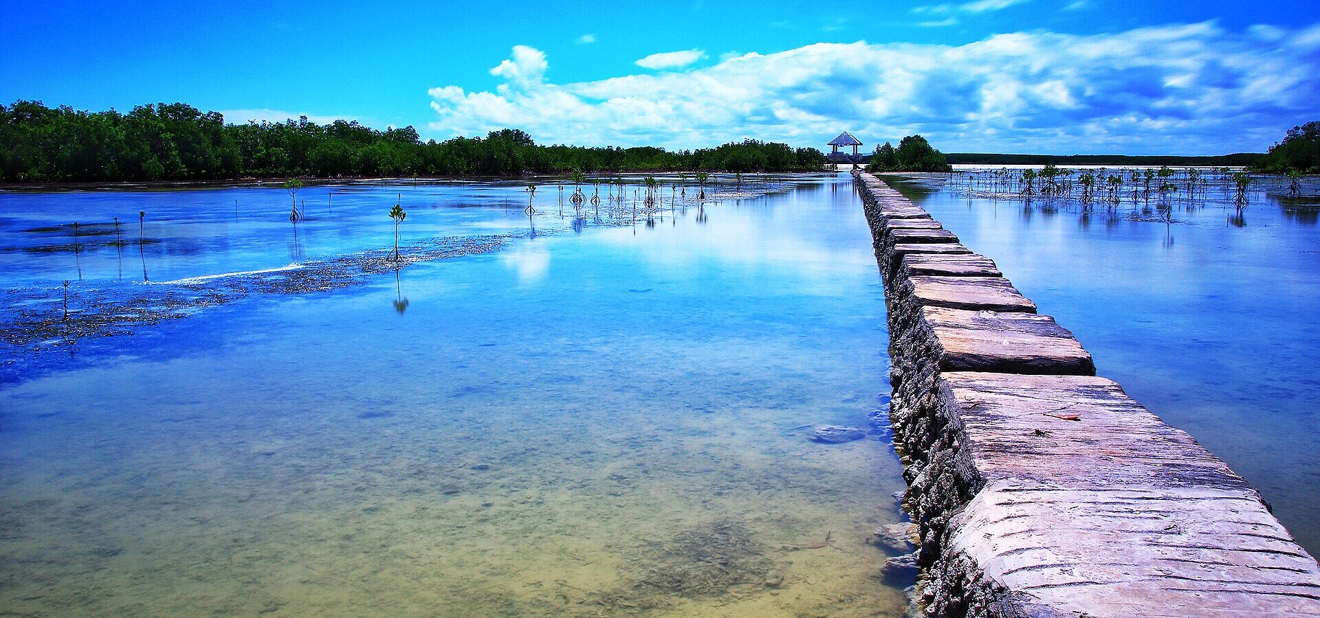 A stone walkway leading across the shallow, clear water of the Olango Island Wildlife Sanctuary towards a shelter, with mangroves behind