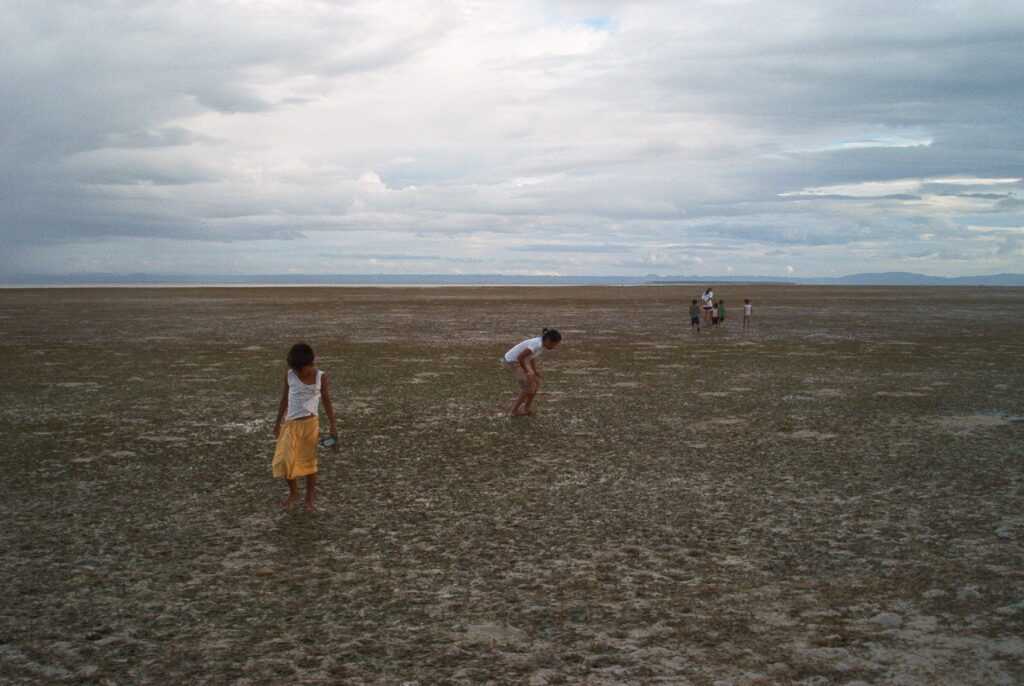 Low tide on the wide Olango mudflats where shorebirds feed