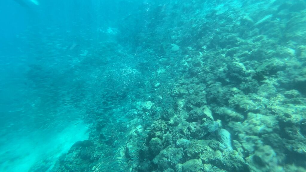 The rocky reef slope just offshore at Panagsama