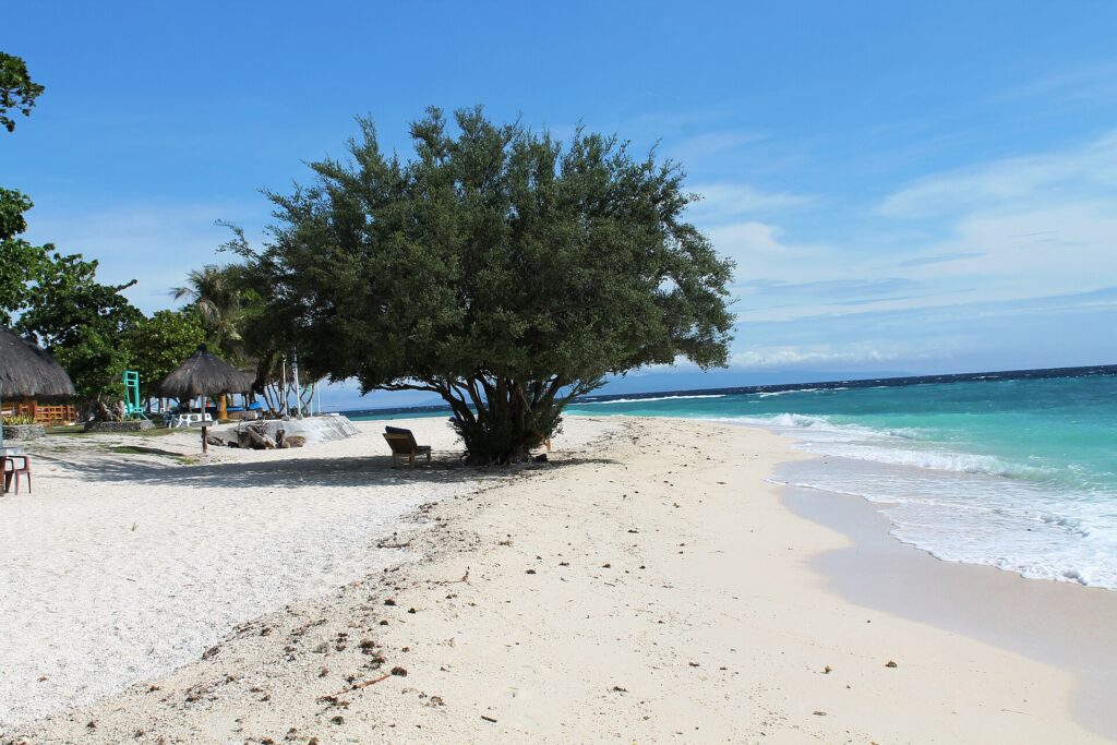 White sand beach on Balicasag Island