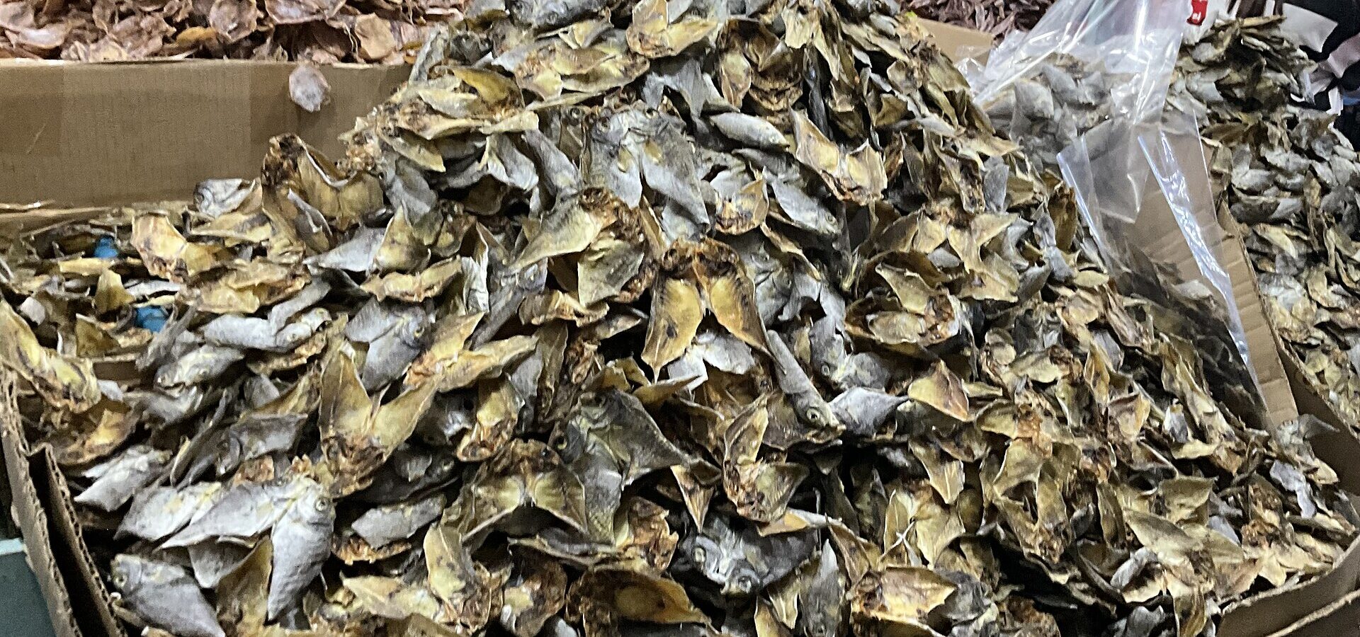 Heaps of danggit (dried rabbitfish) for sale at Taboan Dried Fish Market in Cebu City