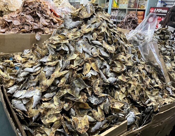 Heaps of danggit (dried rabbitfish) for sale at Taboan Dried Fish Market in Cebu City