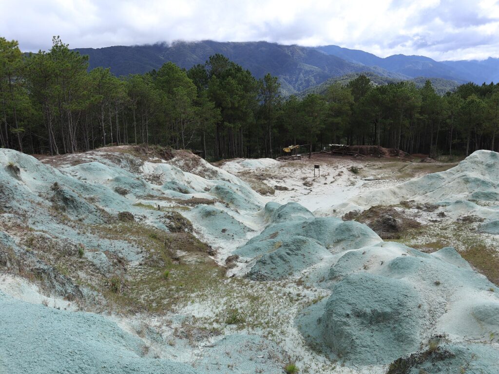 Pale blue-grey clay slopes of the Blue Soil Hills among the pines