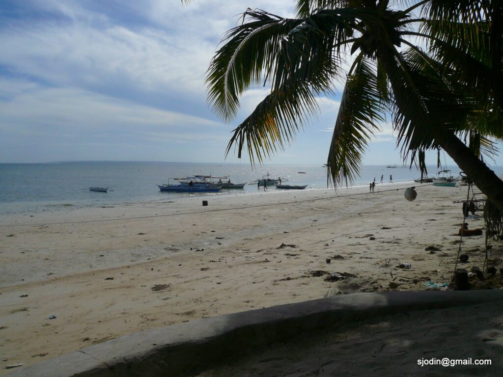 The Santa Fe shore with palms and calm sea