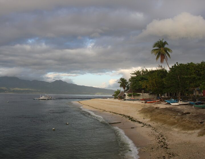 Early morning at Santander port: a curving beach with palms and outrigger boats, and the mountains of Negros across the strait