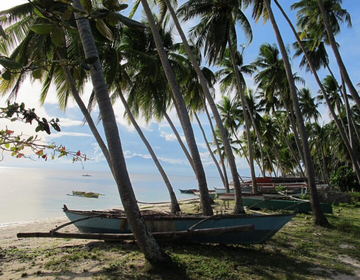 Paliton Beach near San Juan: leaning coconut palms, outrigger boats on the sand and calm clear water under a blue sky