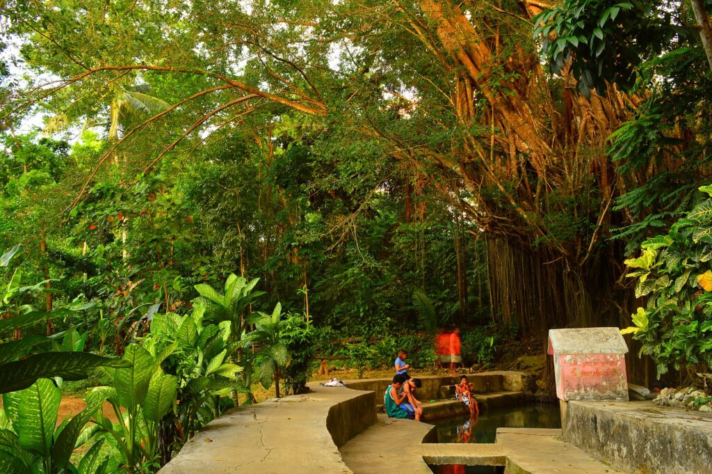 The old balete tree and its spring-fed pool in Campalanas, Lazi