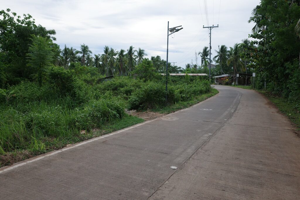 A quiet paved road curving through coconut trees and green growth in the Camotes Islands